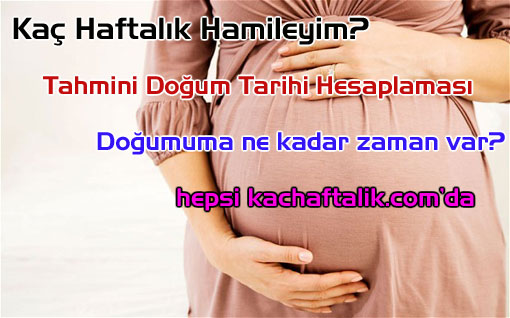 Ka Haftalk Hamileyim